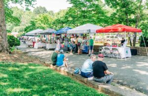 Visit 43 Palmyra Arts festival