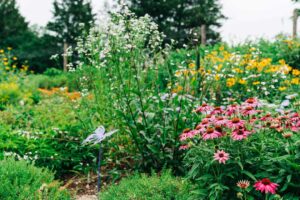 Visit 38 2023 06 Native Butterfly Garden 103 1