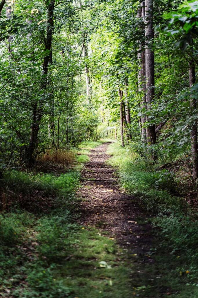 Find Fluvanna 1 2023 07 Rail Trail 104 2 1
