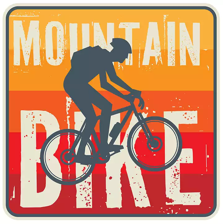 AdobeStock 335058113 Converted