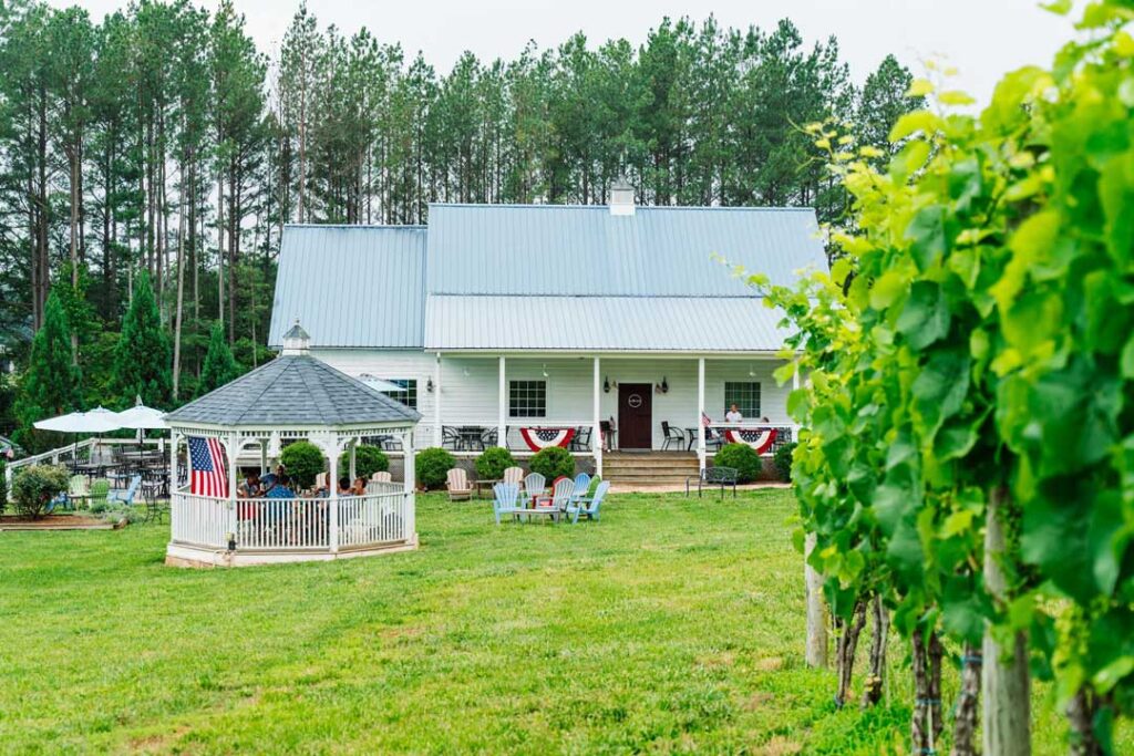 Agribusiness 5 2023 06 Hardware Hills Winery 144