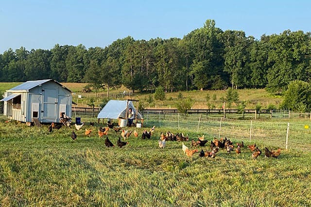 Agribusiness 8 Hidden Springs Family Farm