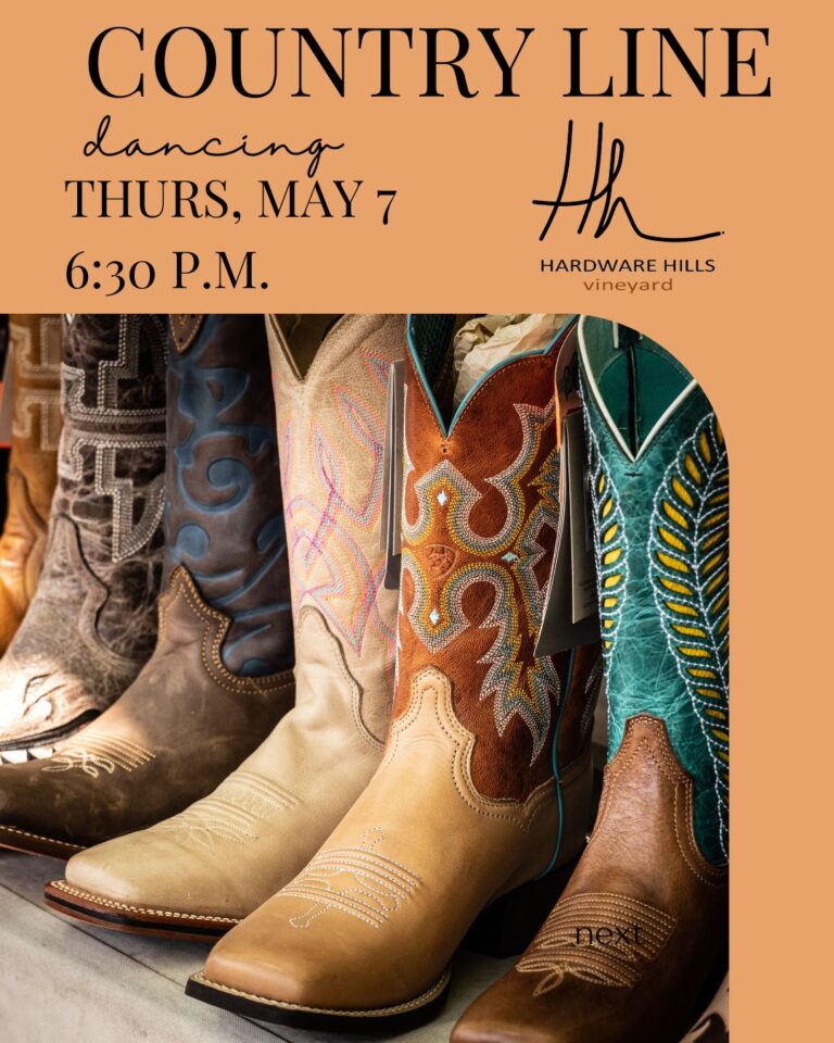 Line Dance Class 2